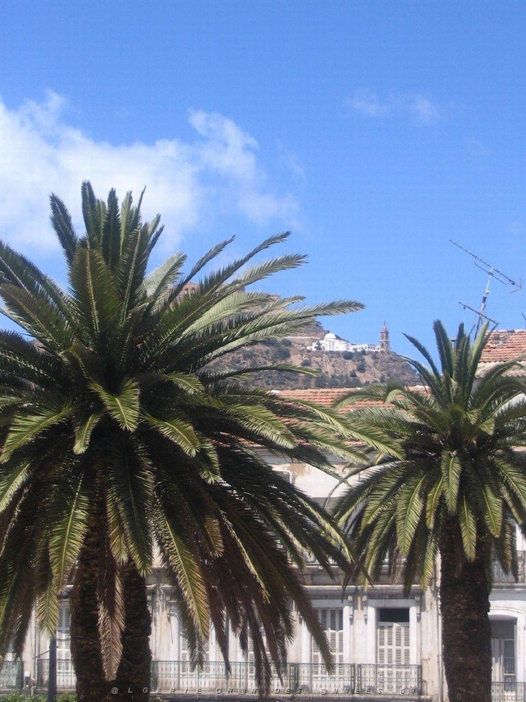 ORAN MAI 2008 2486.jpg